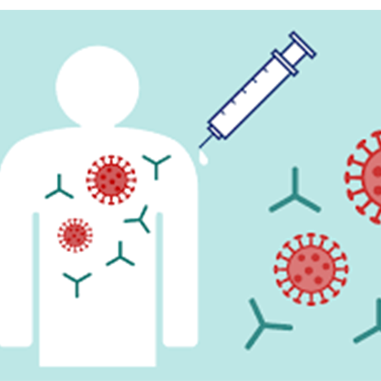 typhidot igm antibody test
